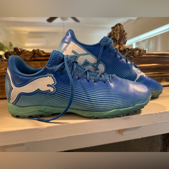 Puma Men’s Blue Shoes - Picture 1 of 4